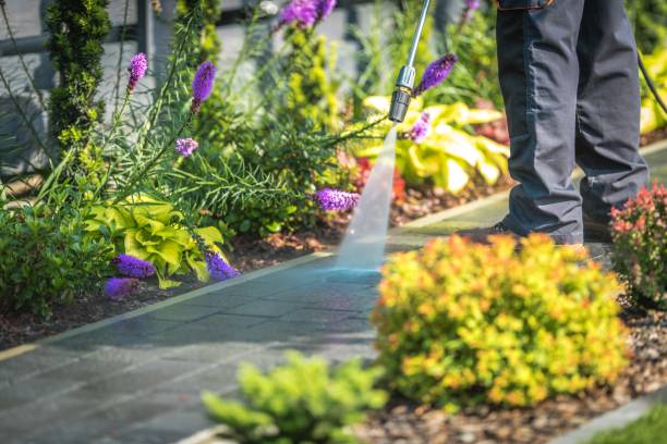 Best Patio and Deck Pressure Washing  in Wingate, NC